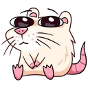 Z_mouse