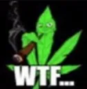 WTF WTF