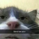 toepicsrn