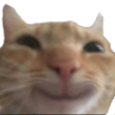 Gatiwi_toifelis Discord emoji