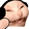 zubjammer