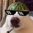 thugdog Discord Emoji
