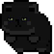 blackcat_roll