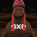 DXDperuano