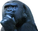 monkey_think Discord emoji