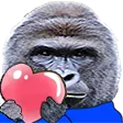 HarambeLove HarambeLove