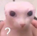 que Discord emoji