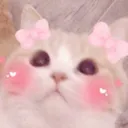 Lb_cutecat