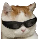 catfacha Discord Emoji