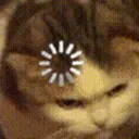 LB_cat_loading Discord Emoji