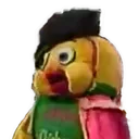 pollo pollo