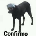 confirmo Discord emoji
