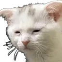 ysls_tiredcat Discord Emoji