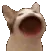 AAAA AAAA
