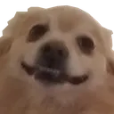 DUG
