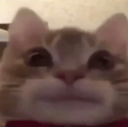 Michiijodido Discord emoji