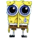 sadsponge sadsponge