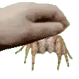 emoji_2