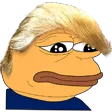 Pepetrump pepetrump Discord Emoji