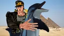 dolphin