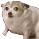 pablosdoggo Discord emoji