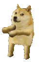 dance_doge