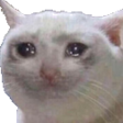 CatSadFace Discord emoji