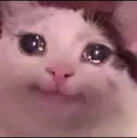 brnd_Cri