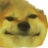 noway Discord emoji