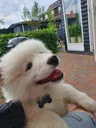 CooperHello