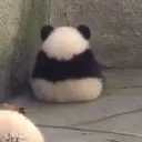 fi_sad_panda