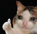 sed_like_ok_thumbsup