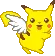 pikafly