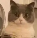 emoji_1