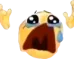 WHYYYY