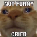 SwagNotFunny Discord Emoji