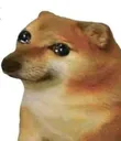 chemshmu chemshmu