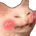 ALLP_ShakyCatBlushing