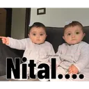 DG_Nital