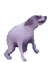 Dancingdog Discord Emoji