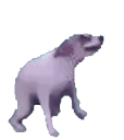 dancingdog