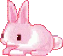 s_pinkbunny
