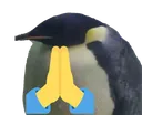 GregPray