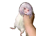 squeezekala