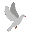 PeaceDove Discord emoji
