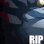 dsrip1