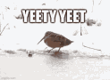 aKiwiYeet Discord emoji