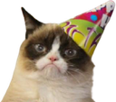 LD_grumpycat_birthday Discord emoji