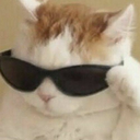 cool_cat Discord emoji