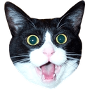 an_Cat Discord emoji